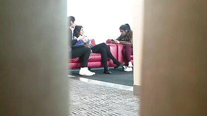 Een mannelijk paard dat erin slaagde om een paar van de schattige wangen te verleiden en poldertube lesbisch het in de kont te stoppen.